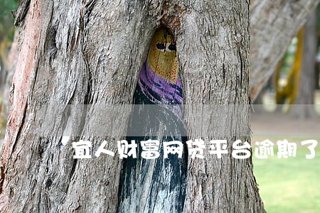 宜人财富网贷平台逾期了吗 宜人财富网贷平台逾期了吗