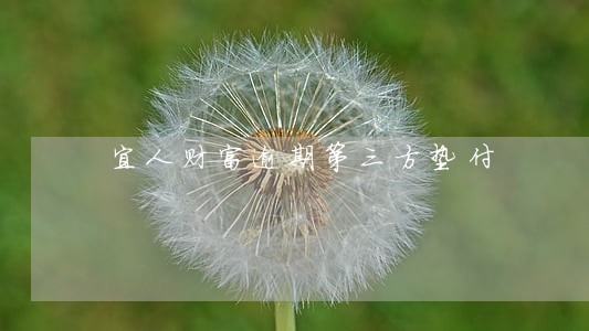 宜人财富逾期第三方垫付 宜人财富逾期第三方垫付