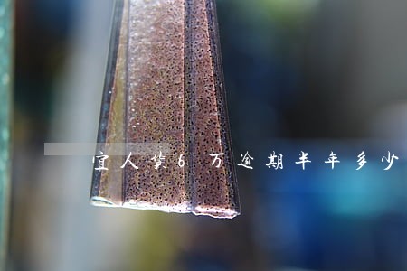 宜人货6万逾期半年多少钱 宜人货6万逾期半年多少钱