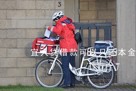 宜人贷借款可以只还本金吗 宜人贷借款可以只还本金吗