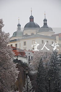 宜人贷只能只还本金吗 宜人贷只能只还本金吗