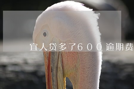 宜人贷多了600逾期费用 宜人贷多了600逾期费用
