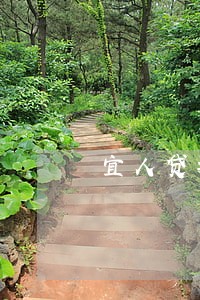 宜人贷拖到只还本金6 宜人贷拖到只还本金6