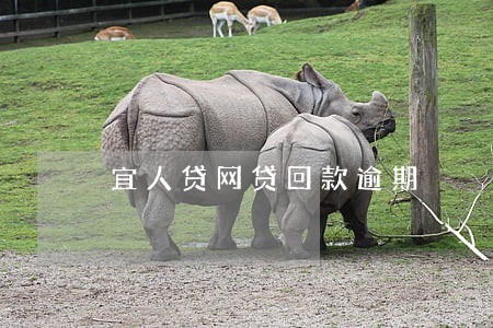 宜人贷网贷回款逾期 宜人贷网贷回款逾期