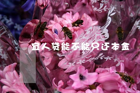 宜人贷能不能只还本金 宜人贷能不能只还本金
