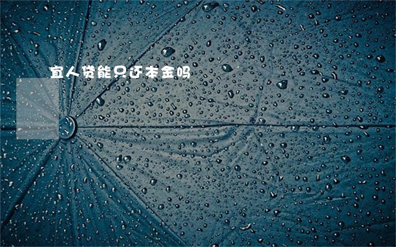宜人贷能只还本金吗 宜人贷能只还本金吗