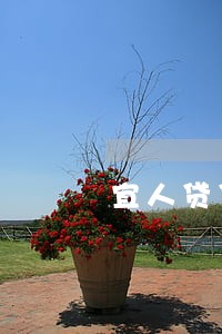 宜人贷贷款5万逾期 宜人贷贷款5万逾期