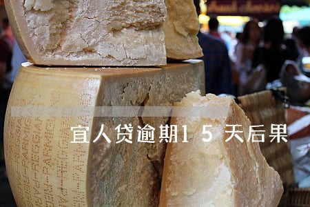 宜人贷逾期15天后果 宜人贷逾期15天后果