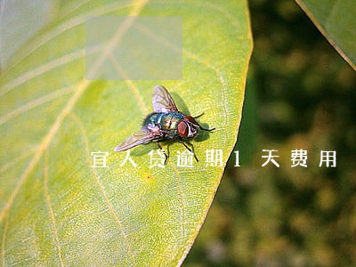 宜人贷逾期1天费用 宜人贷逾期1天费用