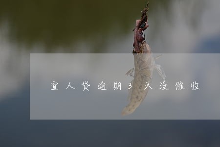 宜人贷逾期3天没催收
