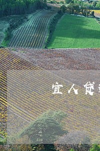 宜人贷逾期3天罚息四百多合法吗 宜人贷逾期3天罚息四百多合法吗