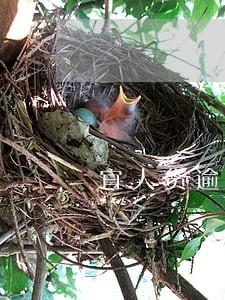 宜人贷逾期信用卡会被封 宜人贷逾期信用卡会被封