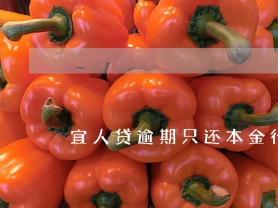 宜人贷逾期只还本金行吗 宜人贷逾期只还本金行吗