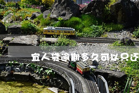 宜人贷逾期多久可以只还本金 宜人贷逾期多久可以只还本金