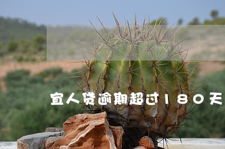 宜人贷逾期超过180天 宜人贷逾期超过180天