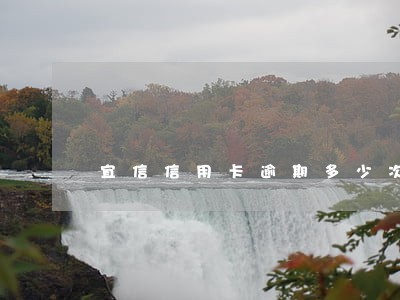 宜信信用卡逾期多少次 宜信信用卡逾期多少次