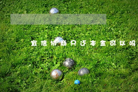 宜信协商只还本金可以吗 宜信协商只还本金可以吗