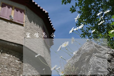 宜信怎么 宜信怎么