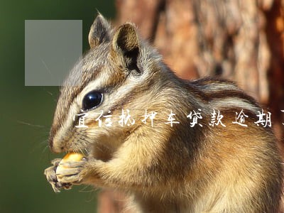 宜信抵押车贷款逾期了怎么办 宜信抵押车贷款逾期了怎么办