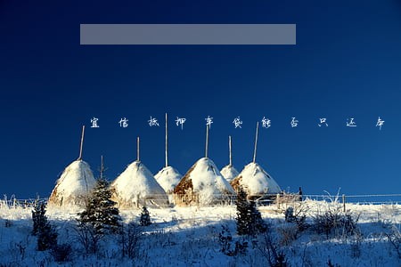 宜信抵押车贷能否只还本金 宜信抵押车贷能否只还本金
