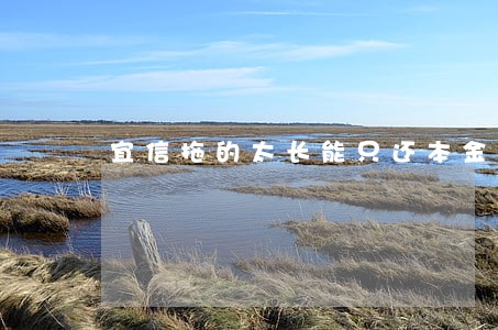 宜信拖的太长能只还本金吗 宜信拖的太长能只还本金吗
