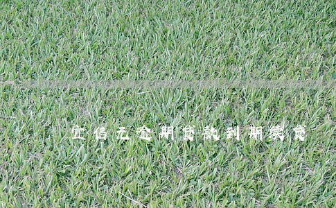 宜信无逾期贷款到期续贷 宜信无逾期贷款到期续贷