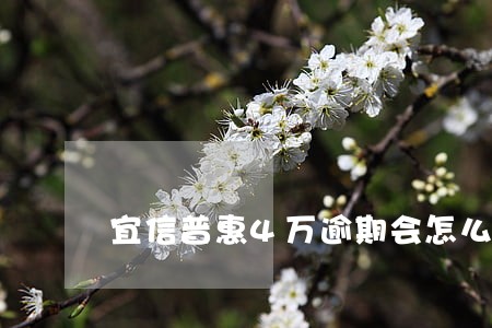 宜信普惠4万逾期会怎么样 宜信普惠4万逾期会怎么样