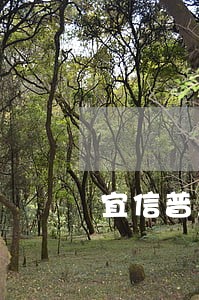 宜信普惠贷款逾期一天 宜信普惠贷款逾期一天