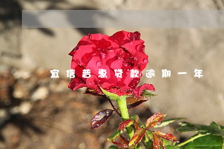 宜信普惠贷款逾期一年