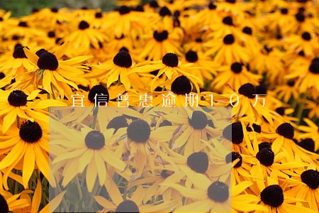 宜信普惠逾期10万