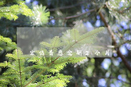 宜信普惠逾期2个月 宜信普惠逾期2个月