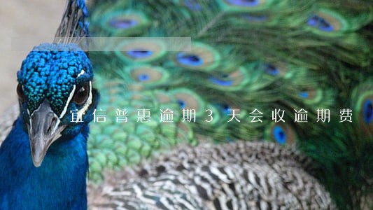 宜信普惠逾期3天会收逾期费