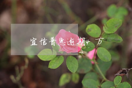 宜信普惠逾期4万 宜信普惠逾期4万