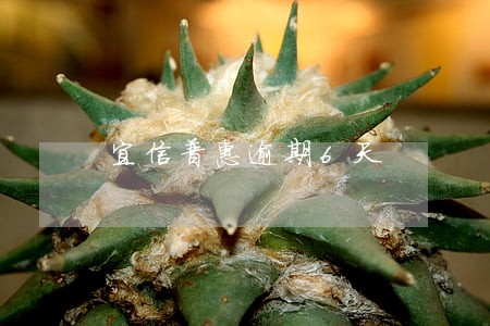 宜信普惠逾期6天 宜信普惠逾期6天