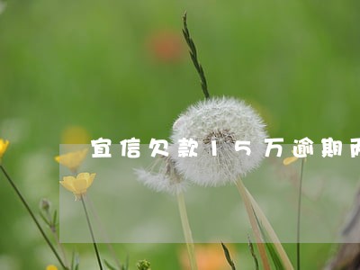 宜信欠款15万逾期两个月