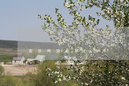 宜信网贷逾期一个月 宜信网贷逾期一个月