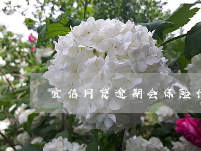 宜信网贷逾期会保险代偿吗 宜信网贷逾期会保险代偿吗