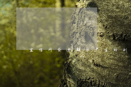 宜信网贷逾期后产生的利息