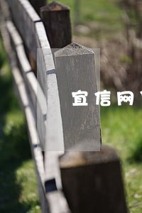 宜信网贷逾期四个月 宜信网贷逾期四个月
