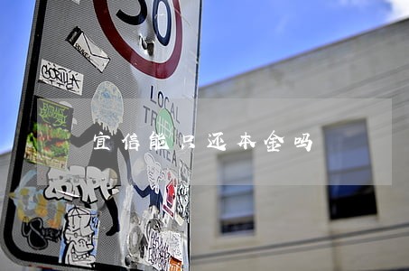 宜信能只还本金吗 宜信能只还本金吗