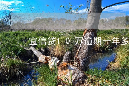 宜信贷10万逾期一年多少 宜信贷10万逾期一年多少