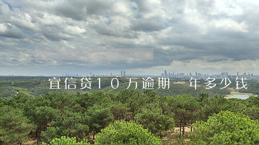 宜信贷10万逾期一年多少钱 宜信贷10万逾期一年多少钱