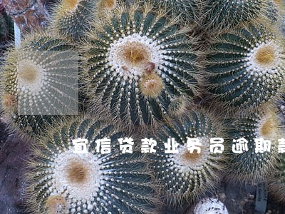 宜信贷款业务员逾期款 宜信贷款业务员逾期款