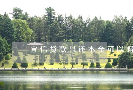 宜信贷款只还本金可以吗 宜信贷款只还本金可以吗