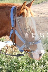 宜信贷款可以逾期几天 宜信贷款可以逾期几天
