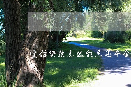 宜信贷款怎么能只还本金 宜信贷款怎么能只还本金