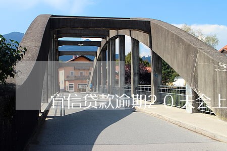 宜信贷款逾期20天会上门吗 宜信贷款逾期20天会上门吗