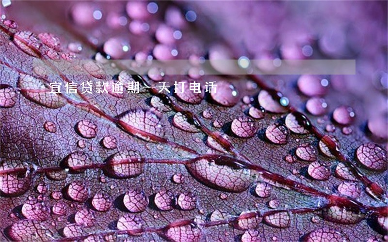宜信贷款逾期一天打电话 宜信贷款逾期一天打电话