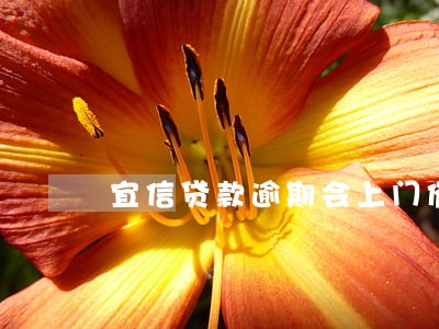 宜信贷款逾期会上门催收吗 宜信贷款逾期会上门催收吗