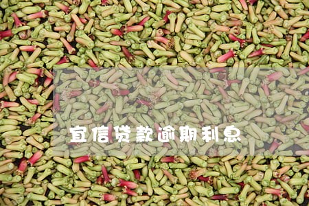 宜信贷款逾期利息 宜信贷款逾期利息